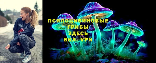 spice Надым
